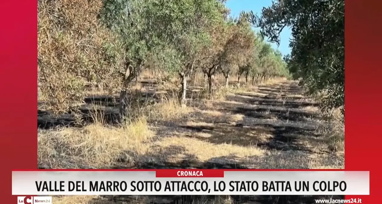 Valle del Marro sotto attacco: «Lo Stato batta un colpo»