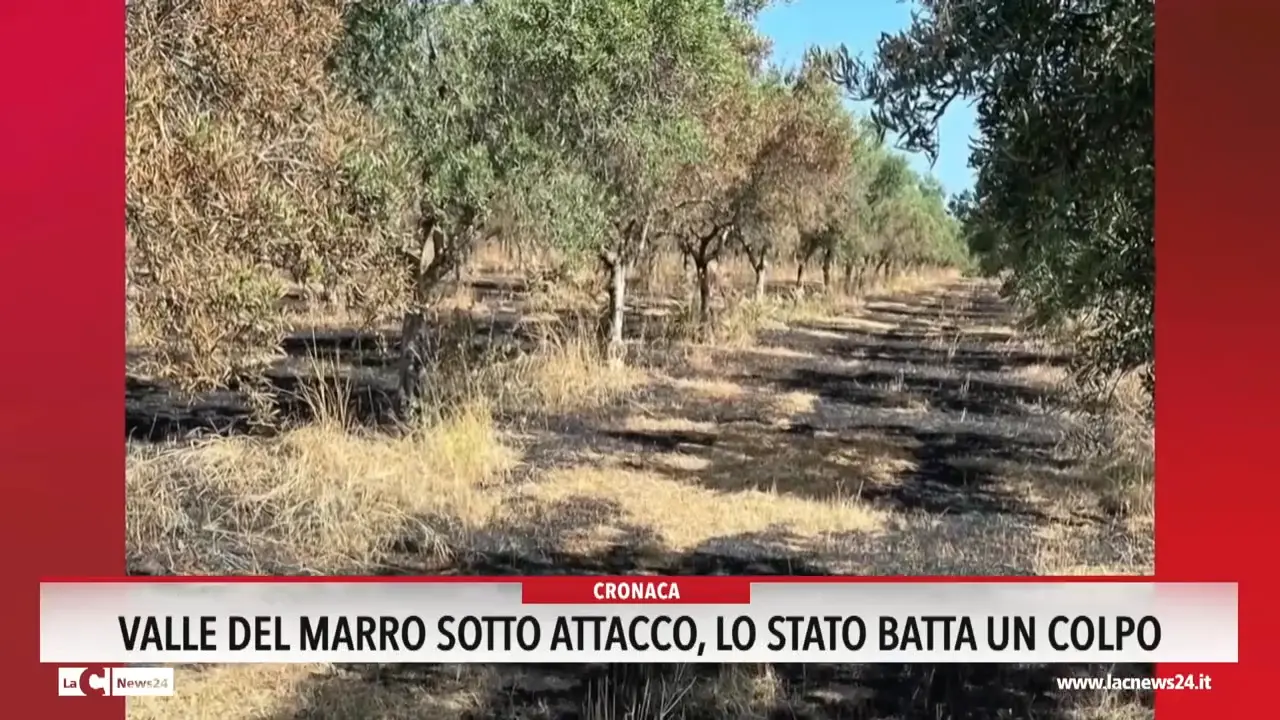 Valle del Marro sotto attacco: «Lo Stato batta un colpo»