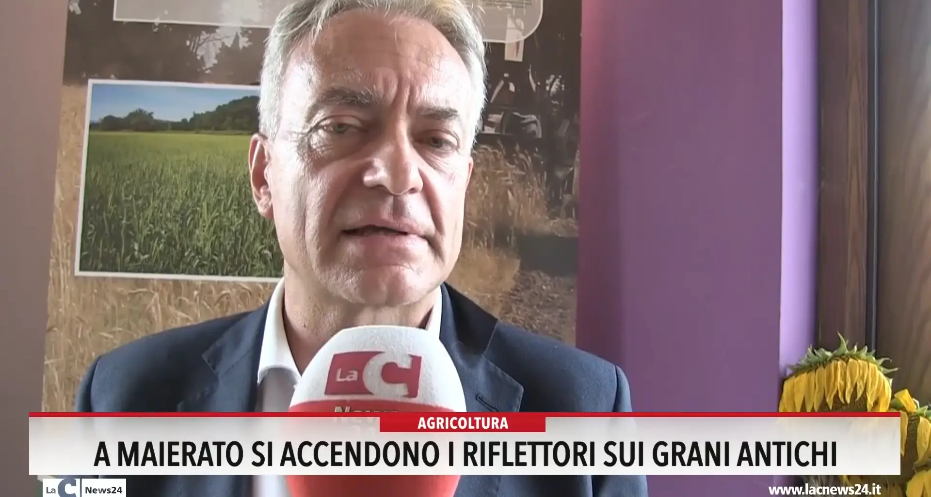 A Maierato si accendono i riflettori sui grani antichi