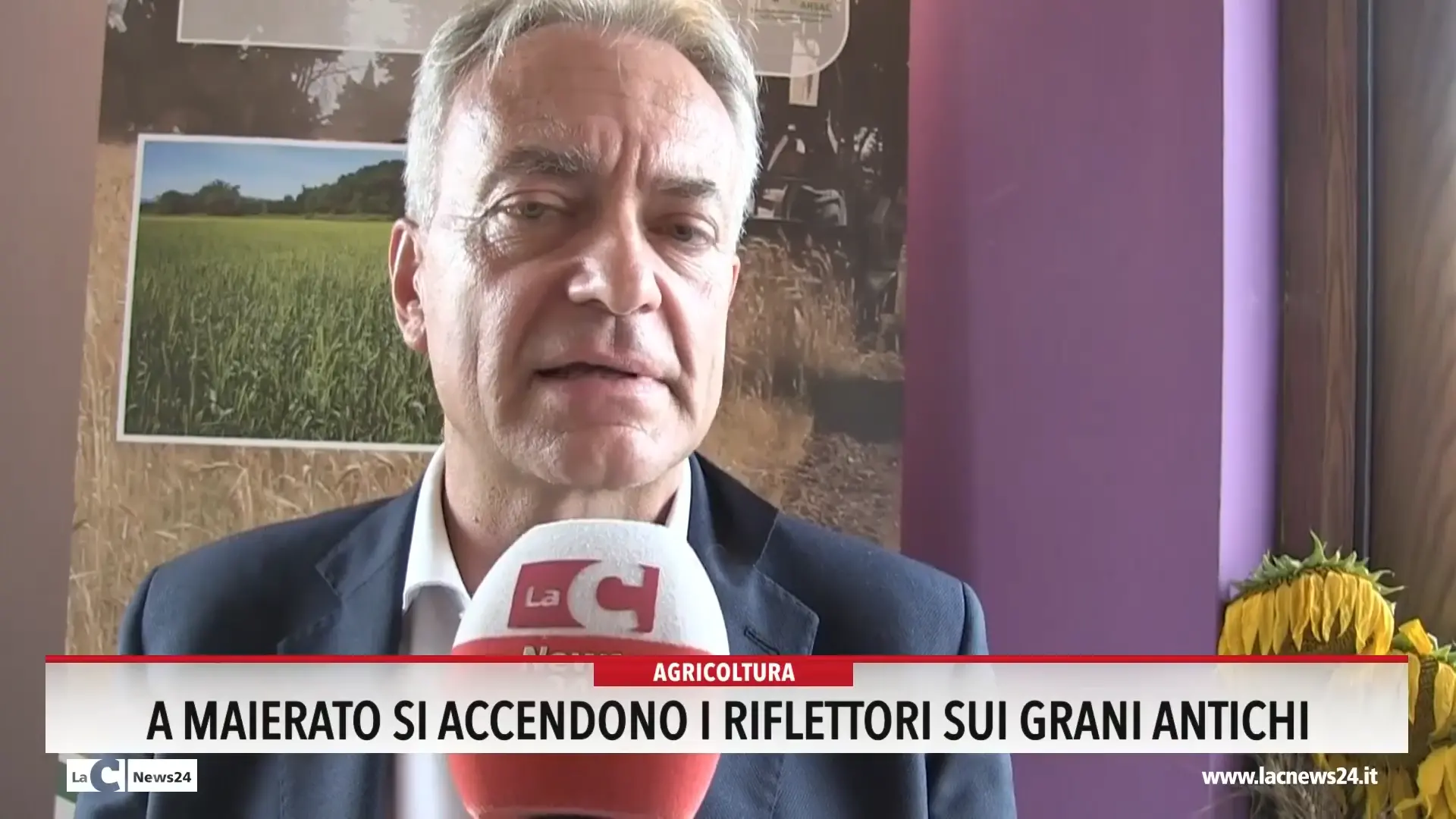 A Maierato si accendono i riflettori sui grani antichi