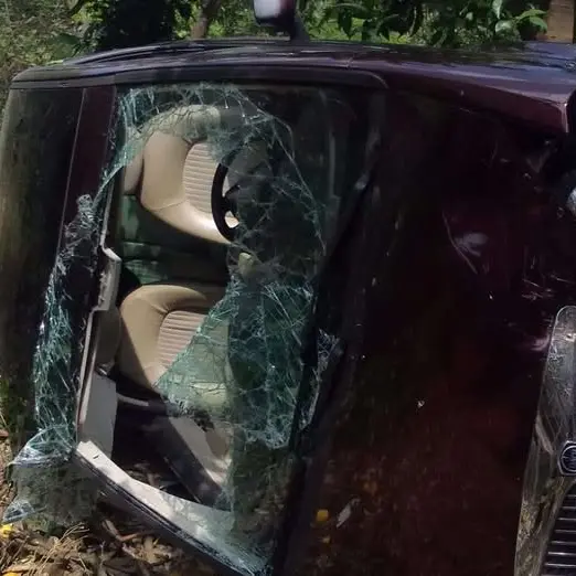 Auto precipita in un limoneto a Soriano Calabro: donna soccorsa dai Vigili del Fuoco