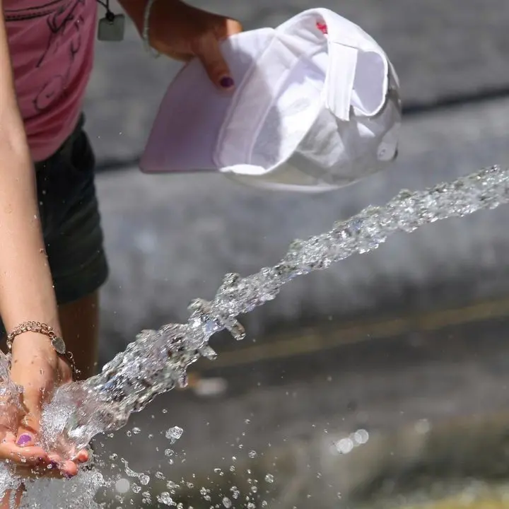 Emergenze caldo, Coldiretti Calabria: «Serve più verde nelle città»