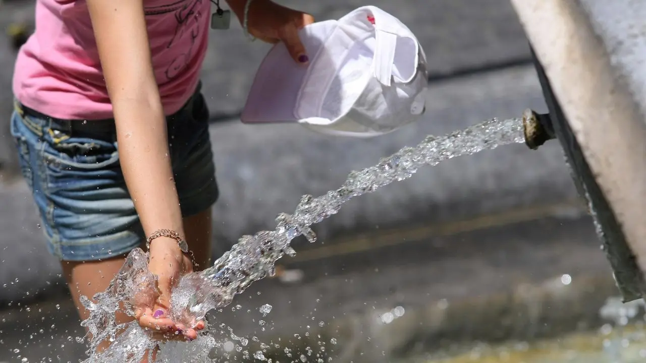 Emergenze caldo, Coldiretti Calabria: «Serve più verde nelle città»