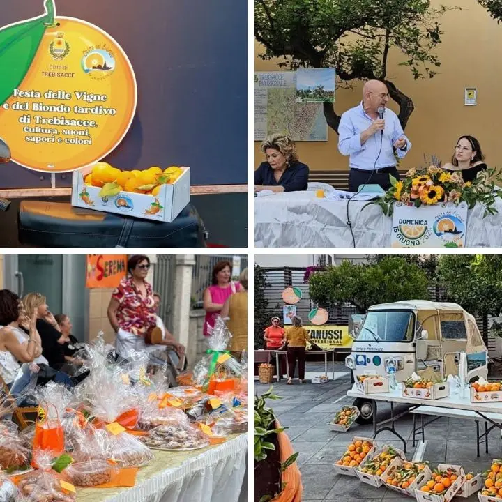 Trebisacce, festa e identità tra i sapori del Biondo Tardivo: successo per la XIII edizione dell’evento dedicato alle vigne e alla cultura locale