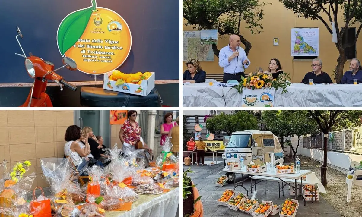 Trebisacce, festa e identità tra i sapori del Biondo Tardivo: successo per la XIII edizione dell’evento dedicato alle vigne e alla cultura locale