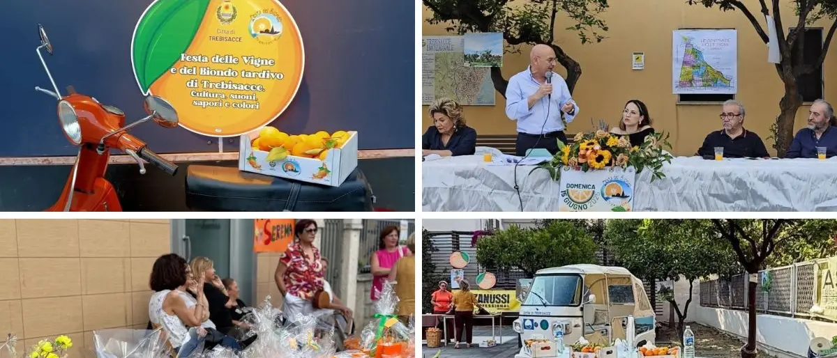 Trebisacce, festa e identità tra i sapori del Biondo Tardivo: successo per la XIII edizione dell’evento dedicato alle vigne e alla cultura locale