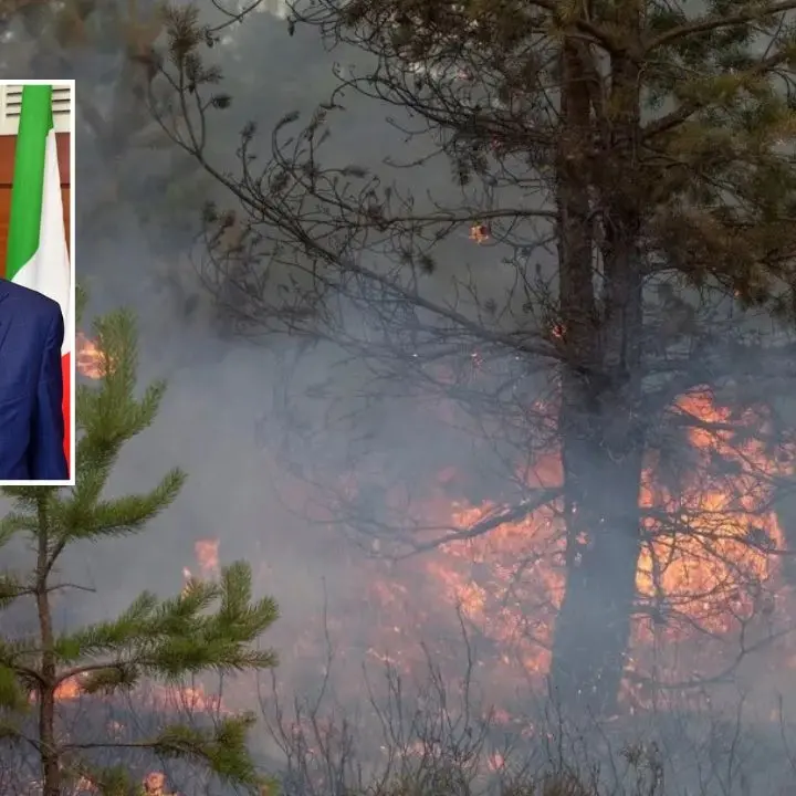 Incendi, Gallo: «Con Occhiuto meno 77% di ettari di bosco andati in fumo»