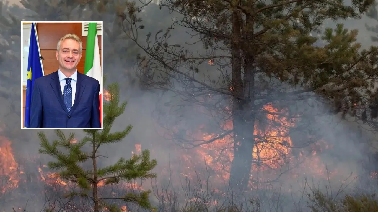 Incendi, Gallo: «Con Occhiuto meno 77% di ettari di bosco andati in fumo»