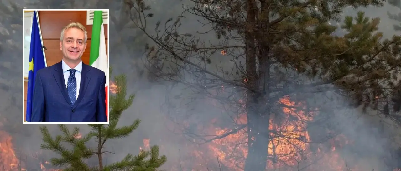 Incendi, Gallo: «Con Occhiuto meno 77% di ettari di bosco andati in fumo»