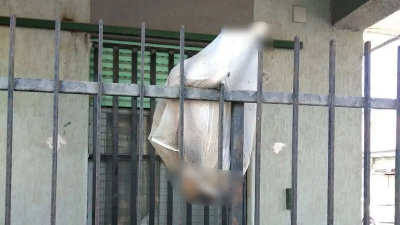 Rossano: cane ucciso, fatto a pezzi e appeso come un trofeo