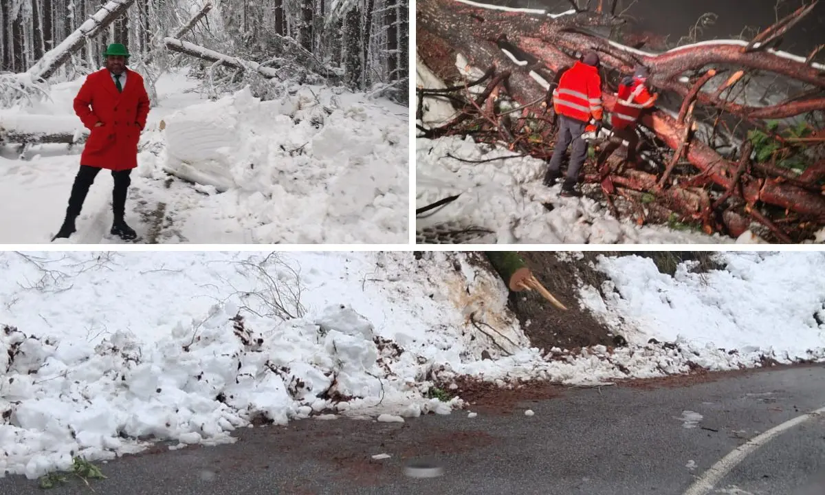 Strade della Sila Greca, la Provincia replica alle critiche: «Interventi tempestivi, sicurezza garantita»
