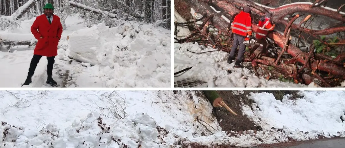 Strade della Sila Greca, la Provincia replica alle critiche: «Interventi tempestivi, sicurezza garantita»