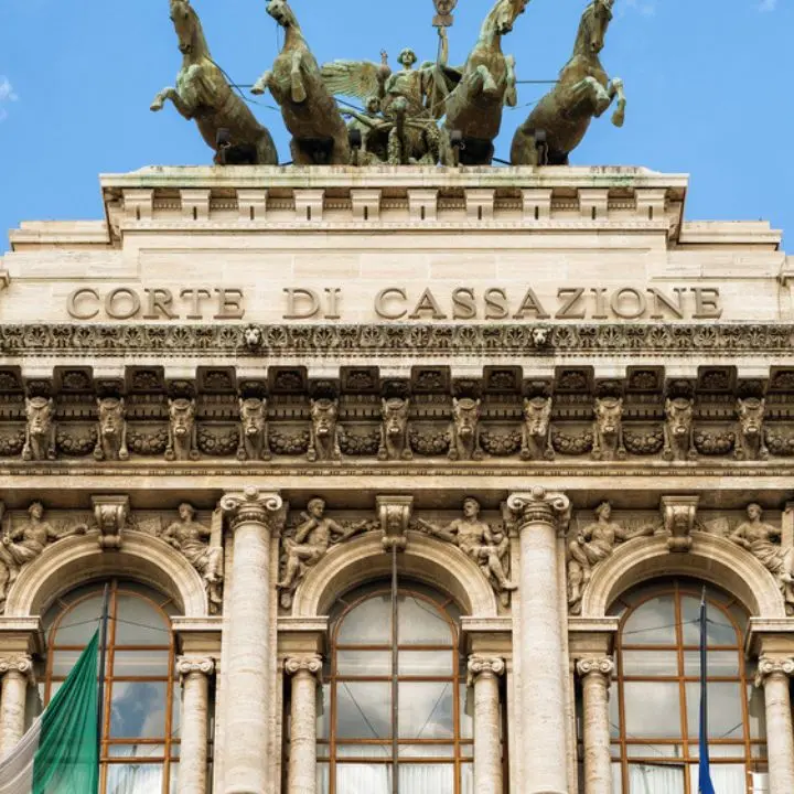 Corap, la Cassazione riabilita il Consorzio Asireg: è attivo in provincia di Reggio Calabria\n