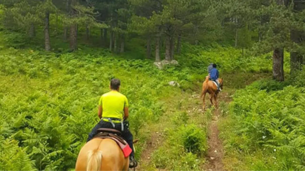 Tragedia in Sila: muore d'infarto mentre è a cavallo