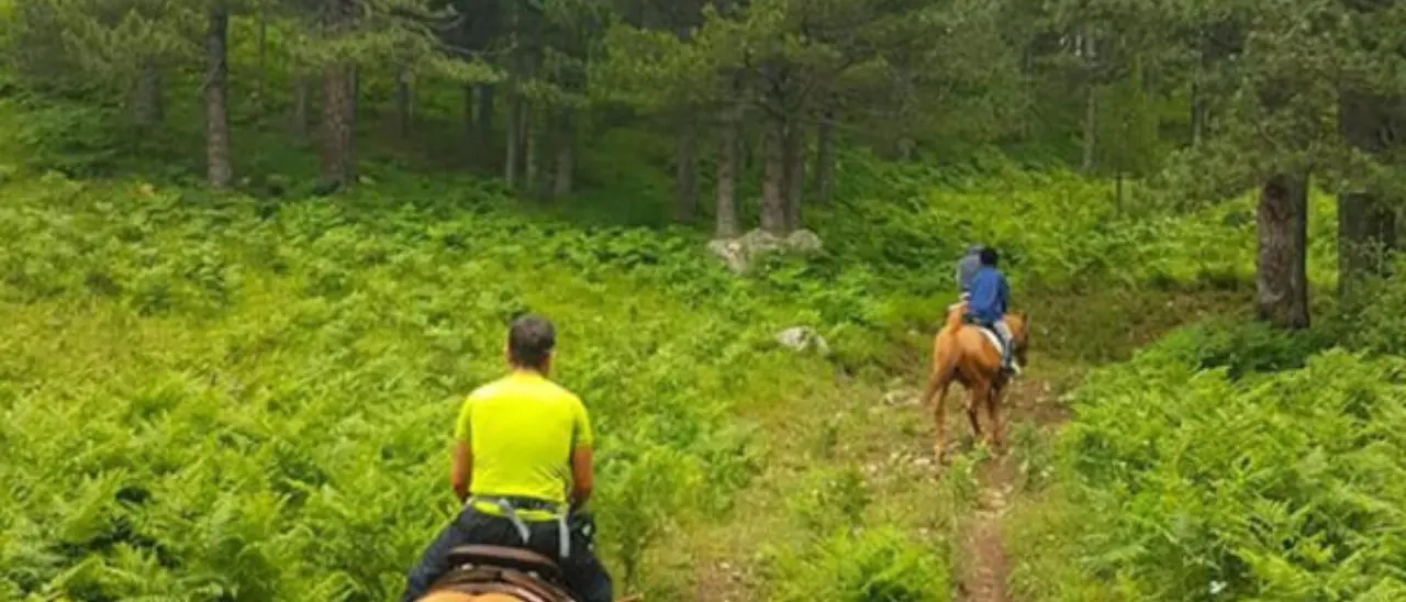 Tragedia in Sila: muore d'infarto mentre è a cavallo