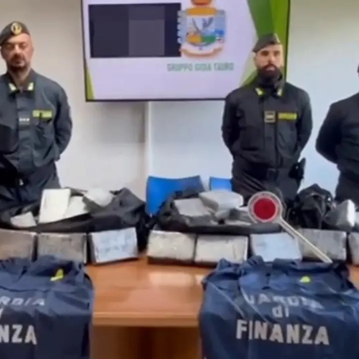 Maxi sequestro di cocaina al porto di Gioia Tauro: 228 kg scoperti e due arresti