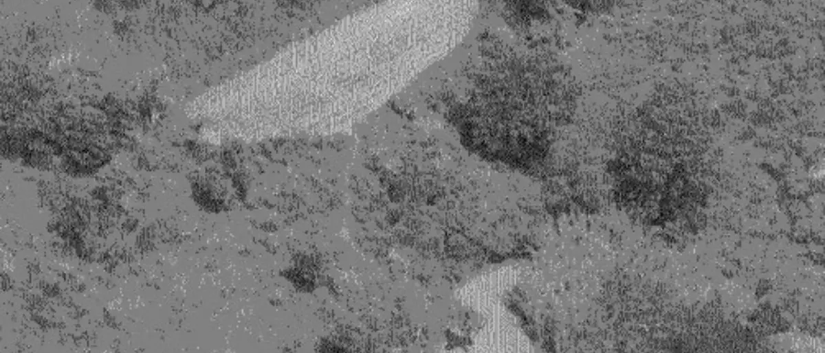 Droga a Mongrassano, la pazienza contadina dei carabinieri di Cosenza