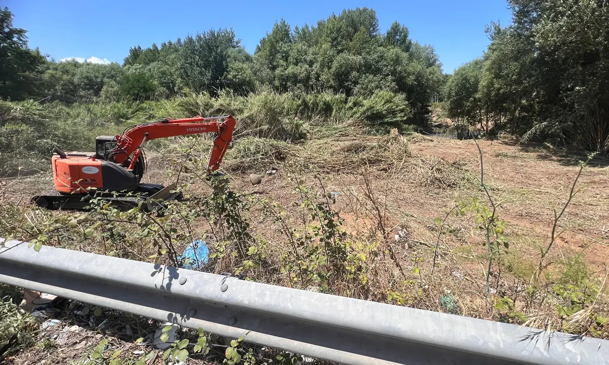 Pulizia dell'alveo del fiume Crati, sinergia tra Zumpano e Calabria Verde