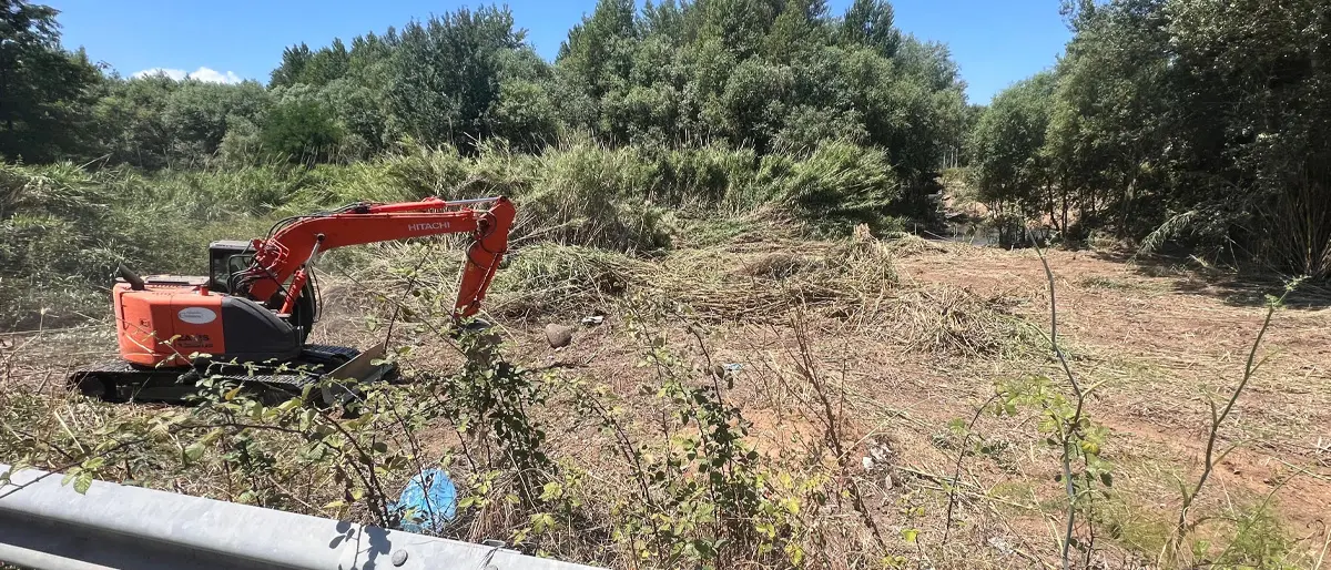 Pulizia dell'alveo del fiume Crati, sinergia tra Zumpano e Calabria Verde