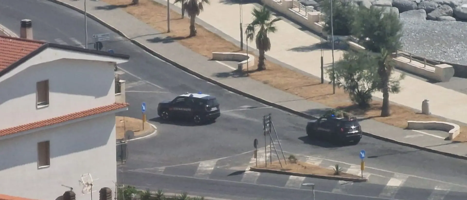 Cetraro, piantagione di marijuana scoperta dai carabinieri: sequestrate decine di piante