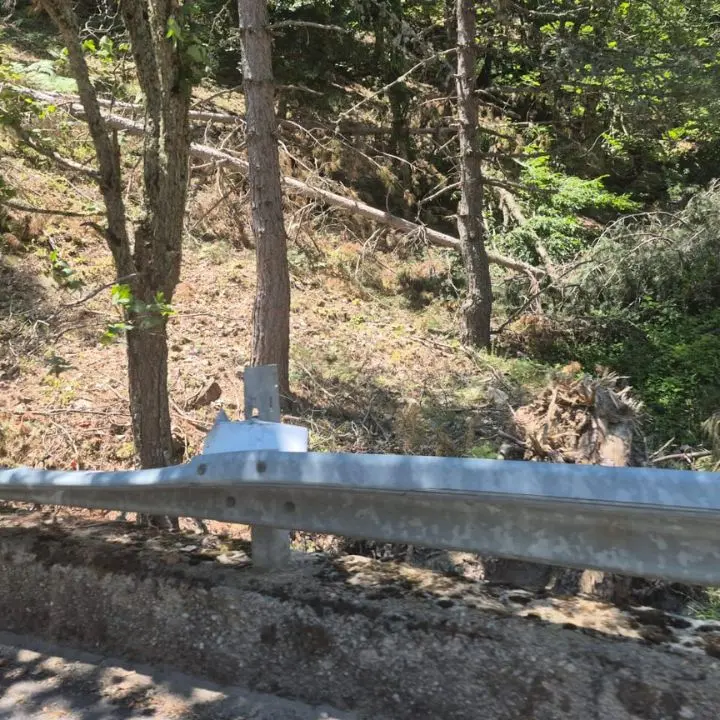 Sila Greca, la Provincia di Cosenza respinge le accuse: «Nessun albero caduto sulle strade provinciali»