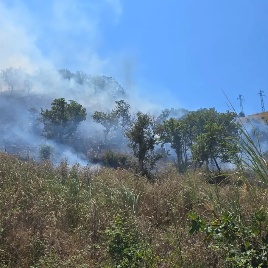 Incendio vicino ai tralicci elettrici all’ingresso di Maierà