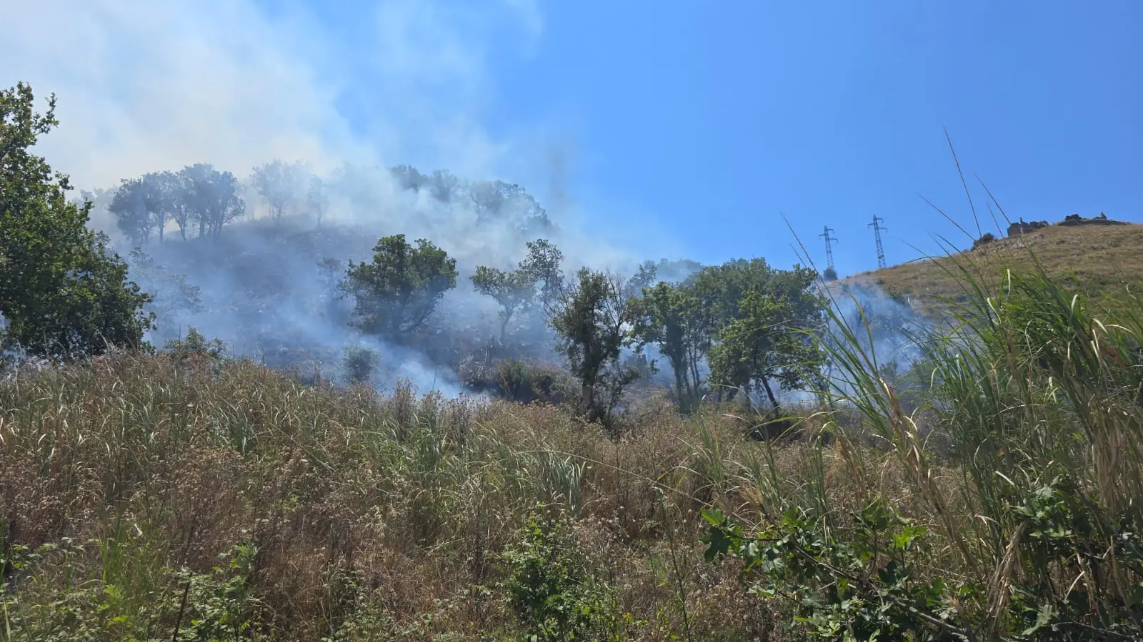 Incendio vicino ai tralicci elettrici all’ingresso di Maierà