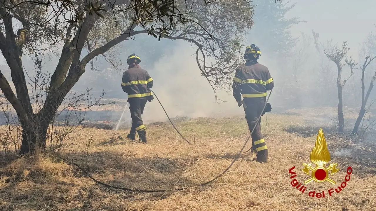 Crotone, giornata impegnativa per i vigili del fuoco: vento e caldo alimentano gli incendi