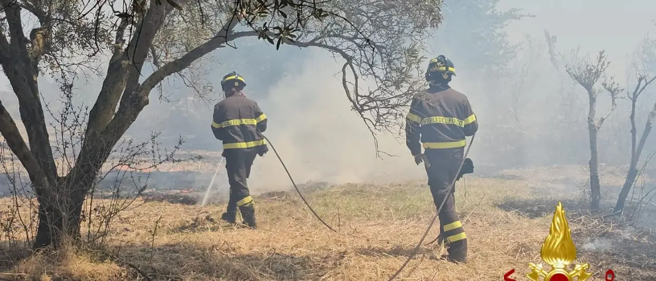 Crotone, giornata impegnativa per i vigili del fuoco: vento e caldo alimentano gli incendi