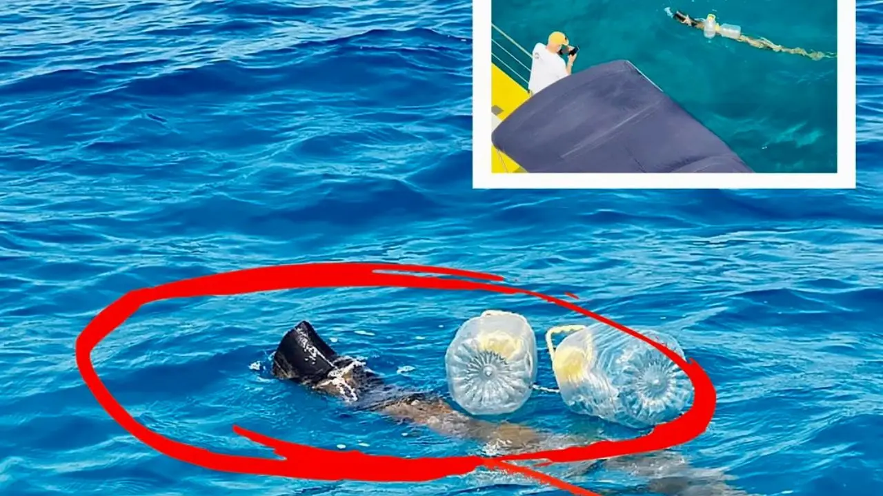 Tubo sospetto nel mare di Gizzeria: possibile scarico illecito