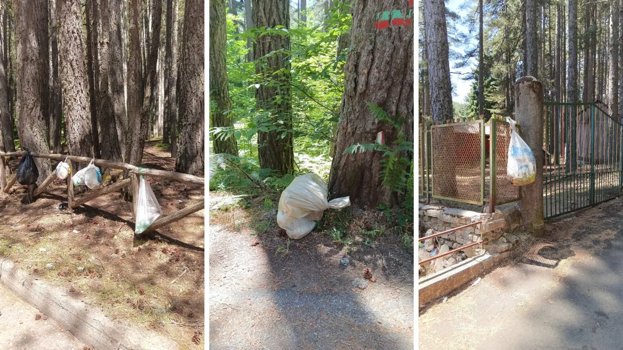 «La Sila non è una pattumiera»: la denuncia delle guide del Parco