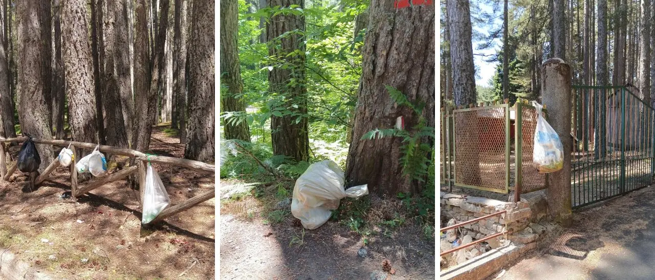 «La Sila non è una pattumiera»: la denuncia delle guide del Parco