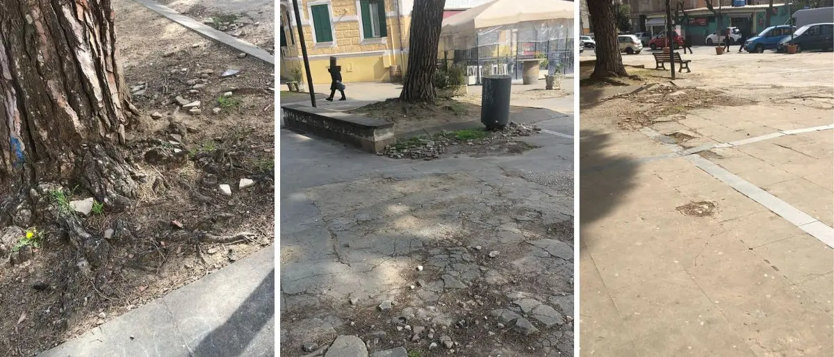 Piazza Cappello, la protesta degli insegnanti: “Salviamo gli alberi, coinvolgete le scuole”