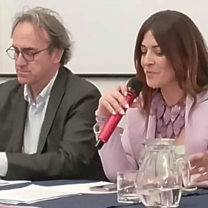 «Provincia di Cosenza come un Ministero degli Esteri»: l'affondo di Europa Verde contro Rosaria Succurro