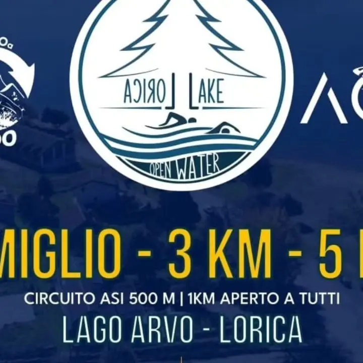 Lorica Lake, in Sila oltre cento nuotatori per la gara in acque libere: sfida tra sport, natura e cultura