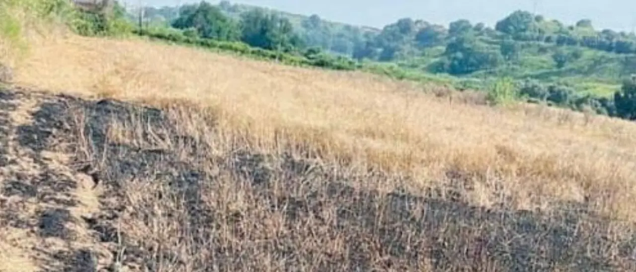 Nuovo incendio in un terreno confiscato alla ‘Ndrangheta, distrutti oltre 800 ulivi