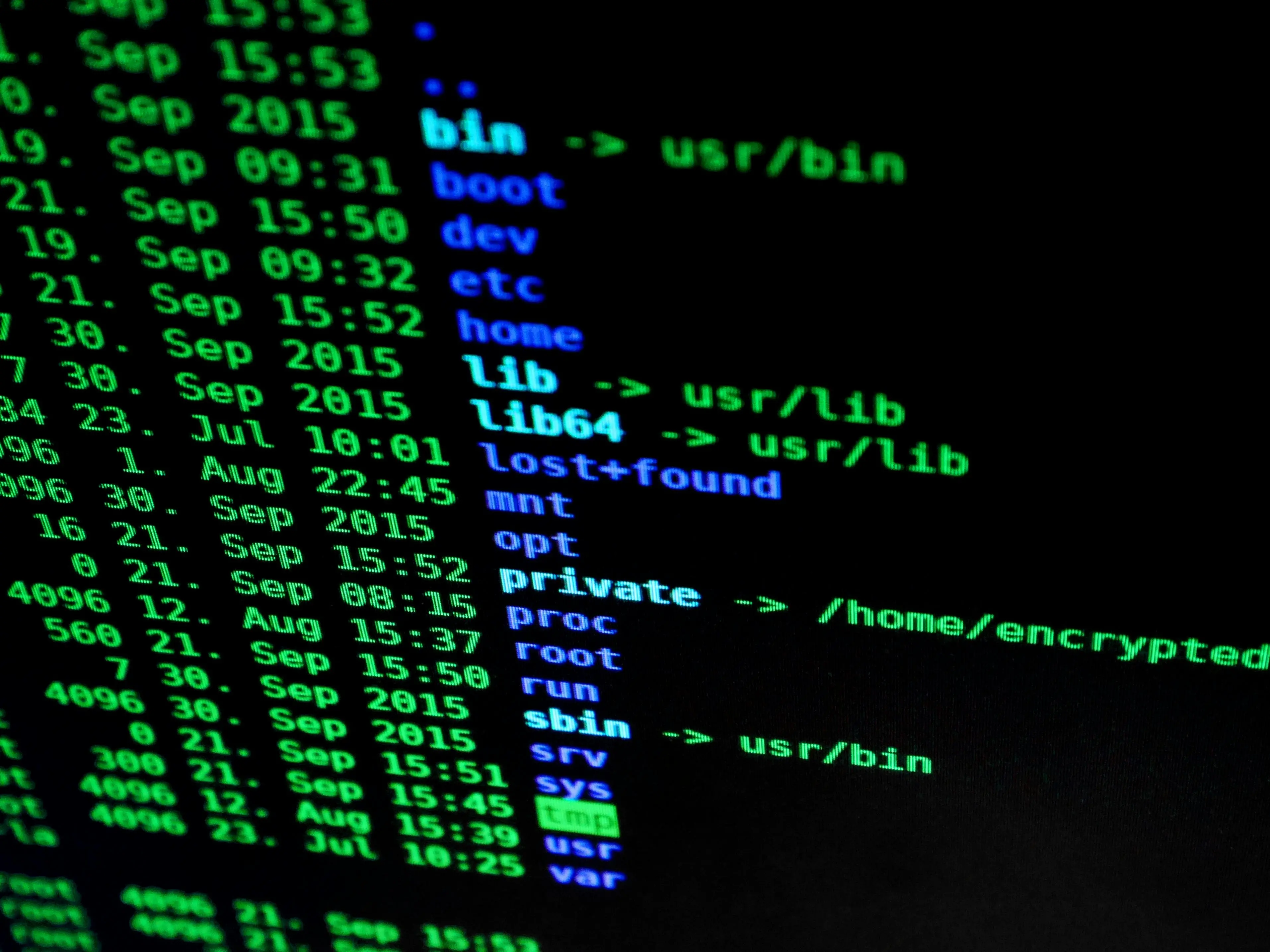 Arrestati gli hacker filorussi di NoName: sabotaggi anche dall’Italia per conto di Mosca