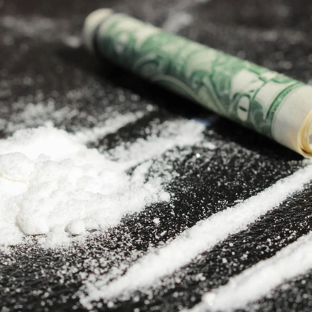 Traffico internazionale di droga tra Colombia, Ecuador e Italia: maxi blitz della Polizia in Campania e Calabria