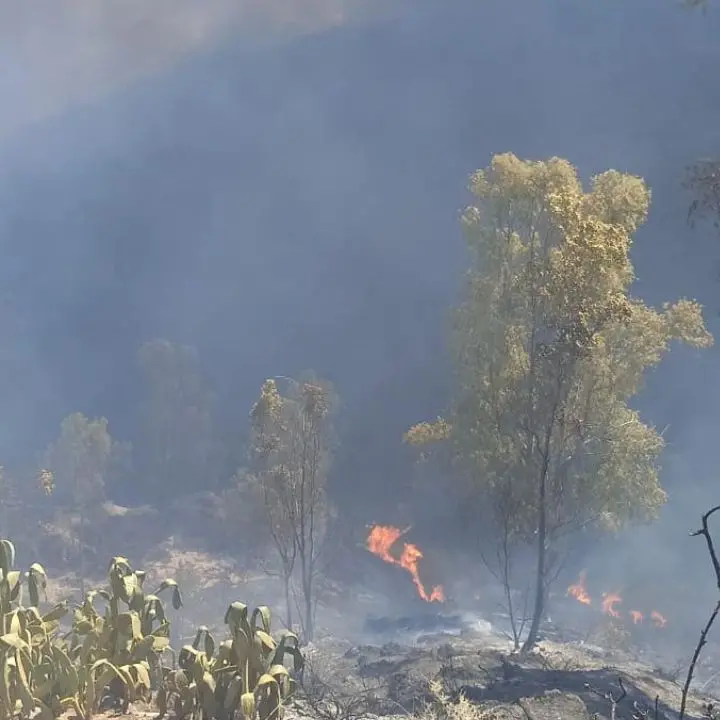 Incendi dolosi sul massiccio del Pollino, l'appello del vescovo di San Marco Argentano Scalea