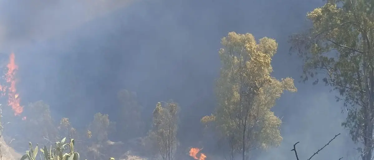 Incendi dolosi sul massiccio del Pollino, l'appello del vescovo di San Marco Argentano Scalea