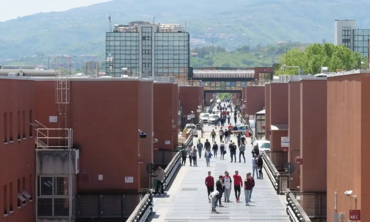 L’Unical è il miglior grande ateneo d’Italia secondo il Censis