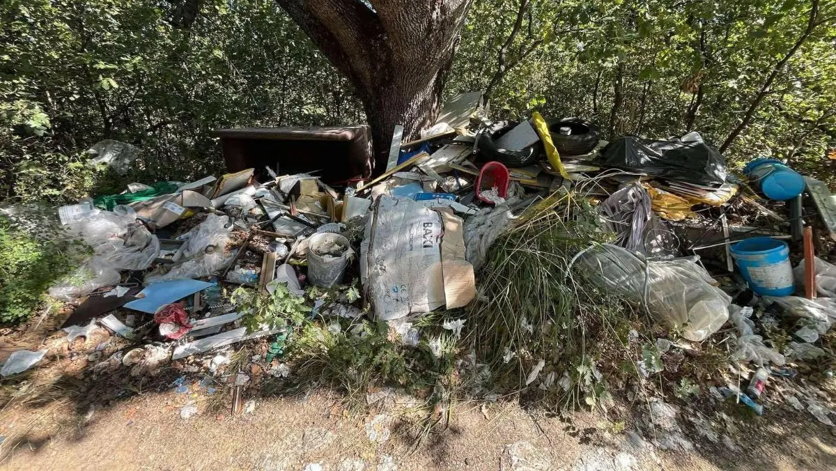 Un boschetto di Piano Monello trasformata in una discarica: i residenti esasperati segnalano degrado, odori nauseabondi e presenza di animali