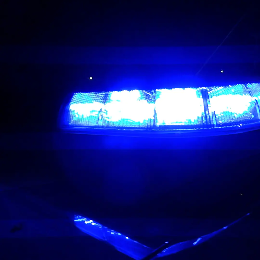 Maxi operazione antidroga: arresti e sequestri anche nel Cosentino. Tutti i dati