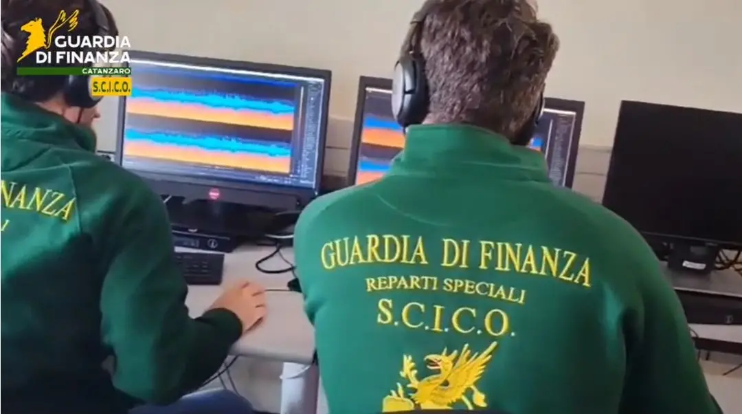 Colpo alla cosca Gallace, i signori della droga e i 20 chili di cocaina nascosti tra i polli surgelati