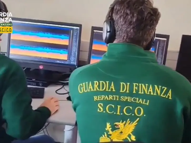 Colpo alla cosca Gallace, i signori della droga e i 20 chili di cocaina nascosti tra i polli surgelati