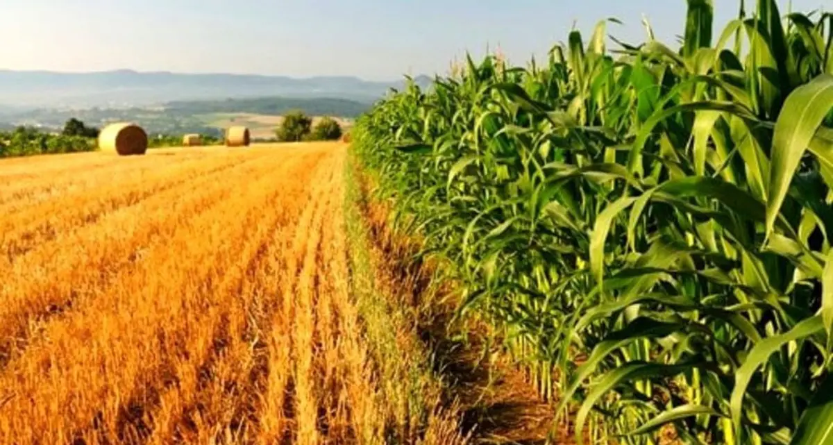 Agricoltura, la Lega presenta un odg in Consiglio regionale contro le politiche europee\u00A0«penalizzanti»\n