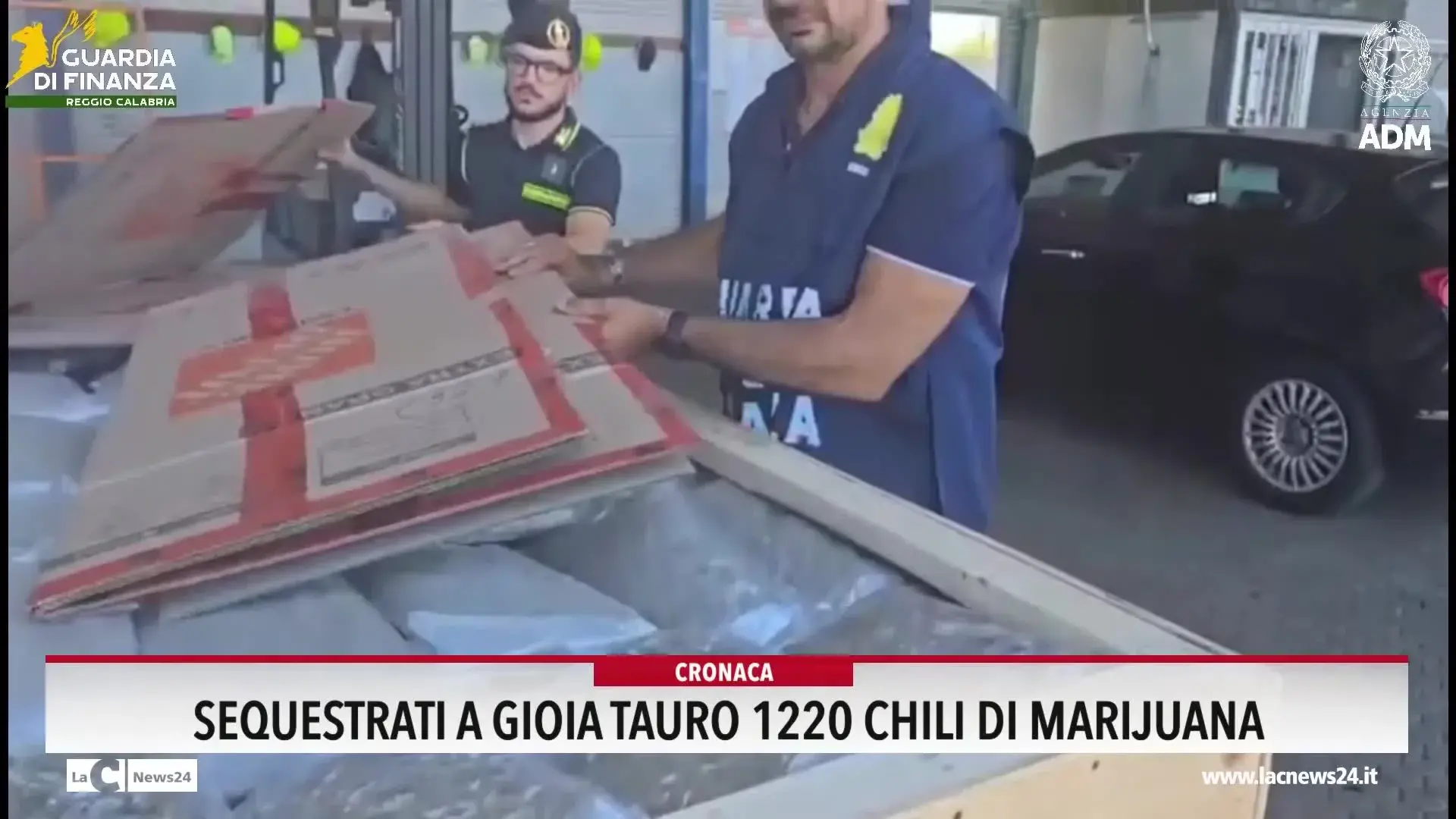 Sequestrati a Gioia Tauro 1220 chili di marijuana