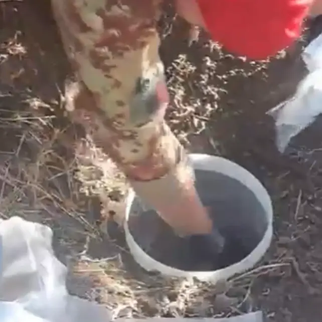 Trovati oltre 30 chili di droga in\u00A0un terreno abbandonato della Locride, era nascosta in due fusti di plastica\n