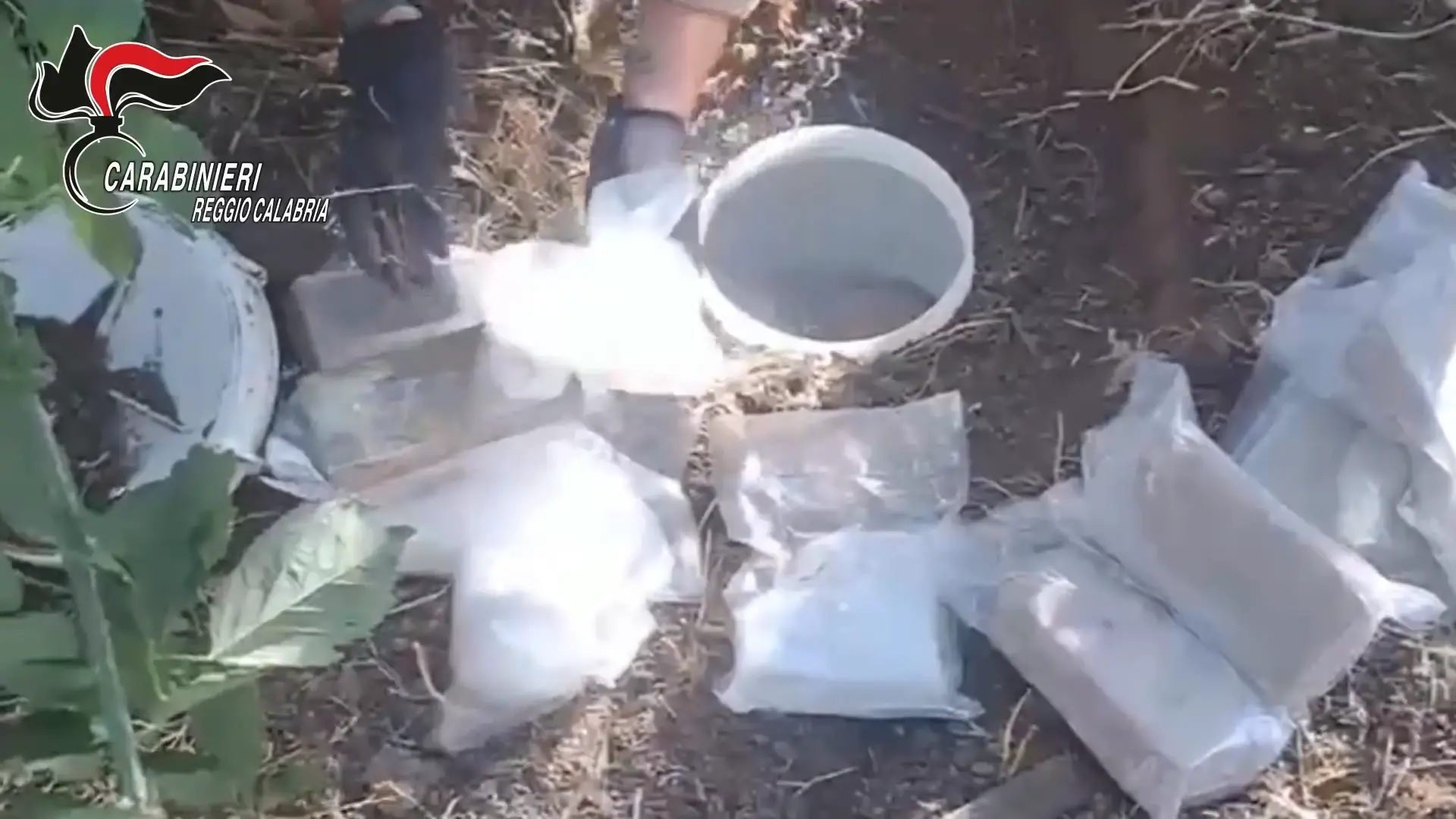 Oltre 30 chili di droga trovati in un terreno abbandonato nella Locride
