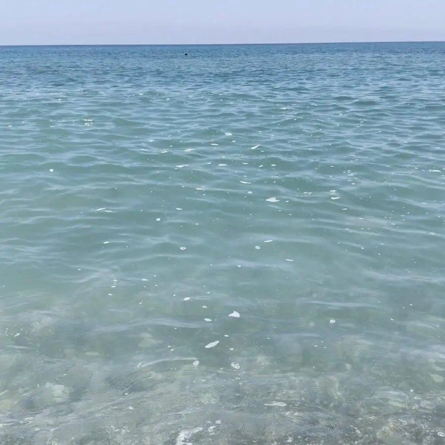Mare sporco, giornata orribile sul Tirreno cosentino